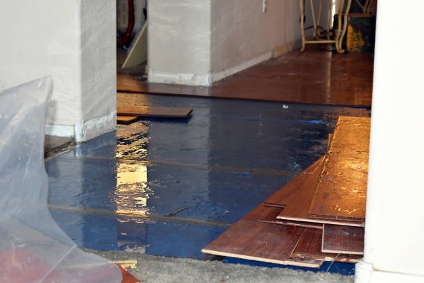 Professional Basement Flood Cleanup technician working in Superior, AZ